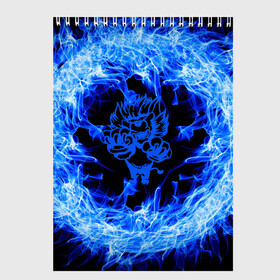 Скетчбук с принтом Лев в синем пламени в Курске, 100% бумага
 | 48 листов, плотность листов — 100 г/м2, плотность картонной обложки — 250 г/м2. Листы скреплены сверху удобной пружинной спиралью | lion | лев | огонь | пламя | синий