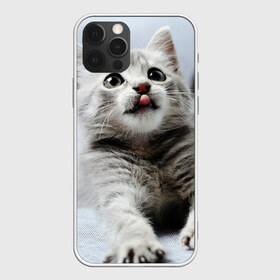 Чехол для iPhone 12 Pro Max с принтом серый котенок в Курске, Силикон |  | grey kitten | kitten | котенок | милый котенок | серый котенок