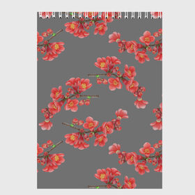 Скетчбук с принтом Цветы айвы на сером фоне в Курске, 100% бумага
 | 48 листов, плотность листов — 100 г/м2, плотность картонной обложки — 250 г/м2. Листы скреплены сверху удобной пружинной спиралью | Тематика изображения на принте: айва | весна | красный | лето | паттерн | подарок | природа | растения | романтика | серый | узор | цветы