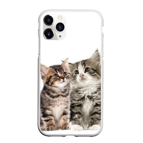 Чехол для iPhone 11 Pro матовый с принтом котята в Курске, Силикон |  | cute kittens | kittens | котята | красивые котята | милые котята