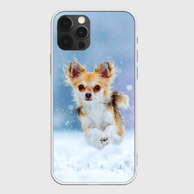 Чехол для iPhone 12 Pro Max с принтом Чихуахуа в снегу в Курске, Силикон |  | Тематика изображения на принте: dog | животные | зима | пес | природа | снег | собака | собаки | собакчка | собачки | чихуа хуа | чихуахуа