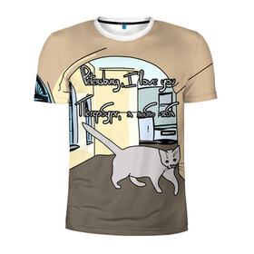 Мужская футболка 3D спортивная с принтом Петербургский кот в Курске, 100% полиэстер с улучшенными характеристиками | приталенный силуэт, круглая горловина, широкие плечи, сужается к линии бедра | кот | кошки | петербург | питерские дворы | романтика | санкт петербург | я люблю тебя