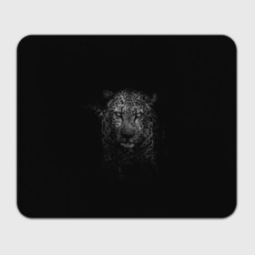 Прямоугольный коврик для мышки с принтом Ягуар выходит из тени в Курске, натуральный каучук | размер 230 х 185 мм; запечатка лицевой стороны | Тематика изображения на принте: jaguar | барс | животное | зверь | кошка | черный | ягуар