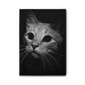 Обложка для автодокументов с принтом Чёрный кот в Курске, натуральная кожа |  размер 19,9*13 см; внутри 4 больших “конверта” для документов и один маленький отдел — туда идеально встанут права | животное | кот | кошка | тёмный рисунок | чёрный фон