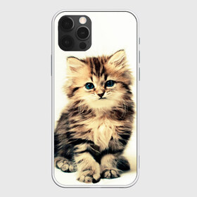 Чехол для iPhone 12 Pro Max с принтом котёнок в Курске, Силикон |  | cute kitten | kitten | котёнок | красивый котёнок | милый котёнок