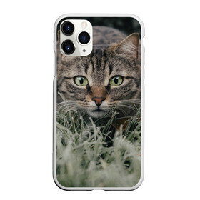 Чехол для iPhone 11 Pro Max матовый с принтом Кошка в Курске, Силикон |  | животное | животные | звери | зверь | киса | киска | киски | кот | котики | коты | кошка | питомец | питомцы | природа | хищник | хищники