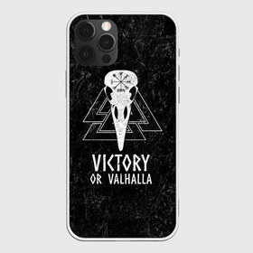 Чехол для iPhone 12 Pro Max с принтом Victory or Valhalla в Курске, Силикон |  | Тематика изображения на принте: вальхалла | викинг | ворон | символ | скандинавия | череп | язычество