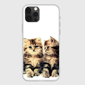 Чехол для iPhone 12 Pro Max с принтом котята в Курске, Силикон |  | cute kittens | kittens | котята | красивые котята | милые котята