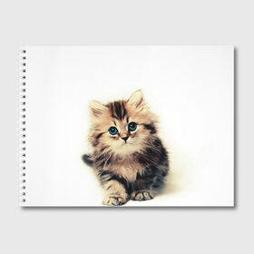 Альбом для рисования с принтом катёнок в Курске, 100% бумага
 | матовая бумага, плотность 200 мг. | Тематика изображения на принте: cute kitten | kitten | котёнок | красивый котёнок | милый котёнок