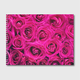 Альбом для рисования с принтом Розы в Курске, 100% бумага
 | матовая бумага, плотность 200 мг. | абстрактно | абстрактные | абстрактный | абстракция | красные | роза | розовые | розы | цветок | цветочек | цветочки | цветочный | цветы