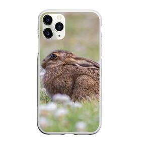 Чехол для iPhone 11 Pro Max матовый с принтом Зайчонок в Курске, Силикон |  | животное | животные | зайцы | зайчик | зайчики | зайчонок | заяц | звери | зверь | природа | природный