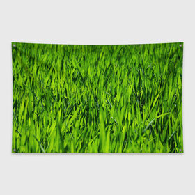 Флаг-баннер с принтом Трава в Курске, 100% полиэстер | размер 67 х 109 см, плотность ткани — 95 г/м2; по краям флага есть четыре люверса для крепления | газон | зелень | луг | луга | поле | природа | природный | растение | растения
