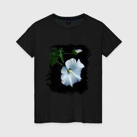 Женская футболка хлопок с принтом Лаватера в Курске, 100% хлопок | прямой крой, круглый вырез горловины, длина до линии бедер, слегка спущенное плечо | букет | лаватера | лето | растение | сад | фото лаватеры | цветок