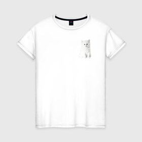 Женская футболка хлопок с принтом Белый котик в Курске, 100% хлопок | прямой крой, круглый вырез горловины, длина до линии бедер, слегка спущенное плечо | белый | кот | котенок | котик | маленький | милый | пушистый