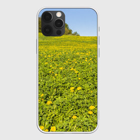 Чехол для iPhone 12 Pro Max с принтом Поле одуванчиков в Курске, Силикон |  | Тематика изображения на принте: одуванчики | одуванчиков | пейзаж | пейзажи | поле | поля | природа | природный | растение | растения | флора | цветок | цветы