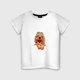 Детская футболка хлопок с принтом Ши Тцу в Курске, 100% хлопок | круглый вырез горловины, полуприлегающий силуэт, длина до линии бедер | домашнее животное | звери | картинки | милый | мультфильмы | популярные | прикольные | собака | ши тцу | щенок
