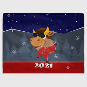 Плед 3D с принтом Бычара 2021 в Курске, 100% полиэстер | закругленные углы, все края обработаны. Ткань не мнется и не растягивается | Тематика изображения на принте: 2021 | 7 января | bull | newyear | santa | бык | быки | бычок | год быка | дед мороз | корова | новогодние каникулы | новогодние праздники | новый 2021 | новый год | новый год 2021 | рождество | сани | санта | санта клаус