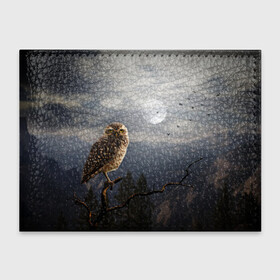 Обложка для студенческого билета с принтом Сова в Курске, натуральная кожа | Размер: 11*8 см; Печать на всей внешней стороне | owl | луна | ночь | птица | сова | фэнтези