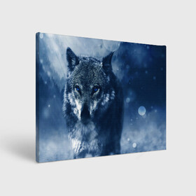 Холст прямоугольный с принтом Красивый волк в Курске, 100% ПВХ |  | Тематика изображения на принте: wolf | ауф | волк | волчонок | зима | синеглазый волк