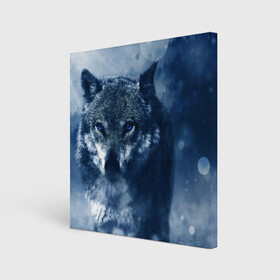Холст квадратный с принтом Красивый волк в Курске, 100% ПВХ |  | Тематика изображения на принте: wolf | ауф | волк | волчонок | зима | синеглазый волк