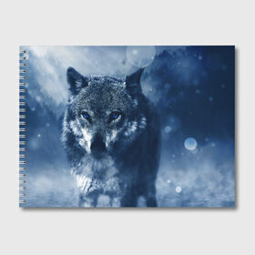 Альбом для рисования с принтом Красивый волк в Курске, 100% бумага
 | матовая бумага, плотность 200 мг. | wolf | ауф | волк | волчонок | зима | синеглазый волк