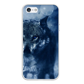 Чехол для iPhone 5/5S матовый с принтом Красивый волк в Курске, Силикон | Область печати: задняя сторона чехла, без боковых панелей | wolf | ауф | волк | волчонок | зима | синеглазый волк