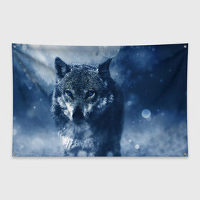 Флаг-баннер с принтом Красивый волк в Курске, 100% полиэстер | размер 67 х 109 см, плотность ткани — 95 г/м2; по краям флага есть четыре люверса для крепления | wolf | ауф | волк | волчонок | зима | синеглазый волк
