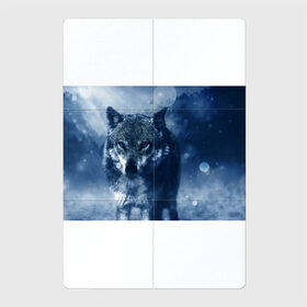 Магнитный плакат 2Х3 с принтом Красивый волк в Курске, Полимерный материал с магнитным слоем | 6 деталей размером 9*9 см | wolf | ауф | волк | волчонок | зима | синеглазый волк