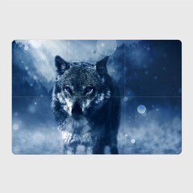 Магнитный плакат 3Х2 с принтом Красивый волк в Курске, Полимерный материал с магнитным слоем | 6 деталей размером 9*9 см | Тематика изображения на принте: wolf | ауф | волк | волчонок | зима | синеглазый волк