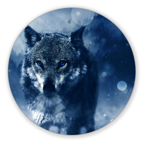 Коврик для мышки круглый с принтом Красивый волк в Курске, резина и полиэстер | круглая форма, изображение наносится на всю лицевую часть | wolf | ауф | волк | волчонок | зима | синеглазый волк