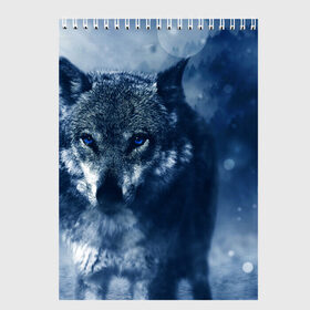 Скетчбук с принтом Красивый волк в Курске, 100% бумага
 | 48 листов, плотность листов — 100 г/м2, плотность картонной обложки — 250 г/м2. Листы скреплены сверху удобной пружинной спиралью | wolf | ауф | волк | волчонок | зима | синеглазый волк