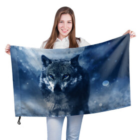 Флаг 3D с принтом Красивый волк в Курске, 100% полиэстер | плотность ткани — 95 г/м2, размер — 67 х 109 см. Принт наносится с одной стороны | wolf | ауф | волк | волчонок | зима | синеглазый волк