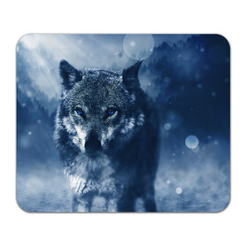 Коврик для мышки прямоугольный с принтом Красивый волк в Курске, натуральный каучук | размер 230 х 185 мм; запечатка лицевой стороны | wolf | ауф | волк | волчонок | зима | синеглазый волк