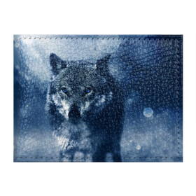 Обложка для студенческого билета с принтом Красивый волк в Курске, натуральная кожа | Размер: 11*8 см; Печать на всей внешней стороне | wolf | ауф | волк | волчонок | зима | синеглазый волк