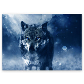 Поздравительная открытка с принтом Красивый волк в Курске, 100% бумага | плотность бумаги 280 г/м2, матовая, на обратной стороне линовка и место для марки
 | wolf | ауф | волк | волчонок | зима | синеглазый волк