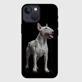 Чехол для iPhone 13 mini с принтом Bully в Курске,  |  | Тематика изображения на принте: bull terrier | dog | ears | eyes | fangs | jaw | muzzle | paws | saliva | tongue | бультерьер | глаза | клыки | лапы | нос | пасть | слюна | собака | уши | язык