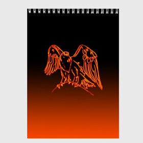 Скетчбук с принтом Огненный орел в Курске, 100% бумага
 | 48 листов, плотность листов — 100 г/м2, плотность картонной обложки — 250 г/м2. Листы скреплены сверху удобной пружинной спиралью | bird | eagle | falcon | fiery | fire | neon | orange | арт | беркут | горящая птица | дикий | животные | крылья | неоновый | огненная птица | орел | орлан | перья | пламя | природа | птица | птица огонь | птичка | сокол