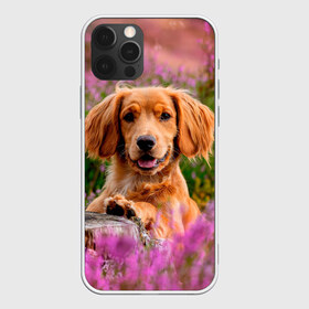 Чехол для iPhone 12 Pro Max с принтом Dog в Курске, Силикон |  | dog | животные | пес | природа | собака | собаки | собакчка | собачки