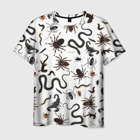 Мужская футболка 3D с принтом Жуткие насекомые в Курске, 100% полиэфир | прямой крой, круглый вырез горловины, длина до линии бедер | арт | белый | живность | животные | жук | жуткие насекомые | жуть | змея | клоп | набор насекомых | опарыш | паразит | паук | пиявка | рисунок | сколопендра | скорпион | таракан | фон | червь | ядовитый