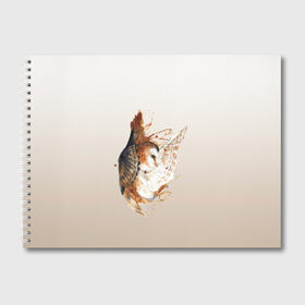 Альбом для рисования с принтом летящая сова рисунок в Курске, 100% бумага
 | матовая бумага, плотность 200 мг. | акварель | акварельный | арт | брызги | градиент | животные | звери | краска | крылья | момент | полет | потеки | рисунок | скетч | сова | филин