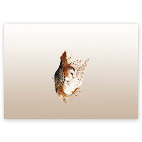 Поздравительная открытка с принтом летящая сова рисунок в Курске, 100% бумага | плотность бумаги 280 г/м2, матовая, на обратной стороне линовка и место для марки
 | акварель | акварельный | арт | брызги | градиент | животные | звери | краска | крылья | момент | полет | потеки | рисунок | скетч | сова | филин