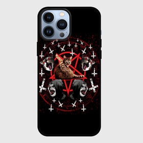 Чехол для iPhone 13 Pro Max с принтом Satanic Cat в Курске,  |  | Тематика изображения на принте: satan | киска | кот | кот мем | кошечка | кошка | кошки и коты | лиса | лисы | мем | мемы | с кошкой | сатана