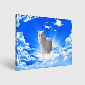 Холст прямоугольный с принтом Кот в облаках в Курске, 100% ПВХ |  | animals | cat | kitty | ангел | белый кот | блики | взгляд кота | глаза кота | животные | киска | кот | котейка | котенок | котик | кошак | кошка | лучи | мордочка | небесный | небо | облака | пейзаж | питомец