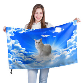 Флаг 3D с принтом Кот в облаках в Курске, 100% полиэстер | плотность ткани — 95 г/м2, размер — 67 х 109 см. Принт наносится с одной стороны | animals | cat | kitty | ангел | белый кот | блики | взгляд кота | глаза кота | животные | киска | кот | котейка | котенок | котик | кошак | кошка | лучи | мордочка | небесный | небо | облака | пейзаж | питомец