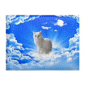 Обложка для студенческого билета с принтом Кот в облаках в Курске, натуральная кожа | Размер: 11*8 см; Печать на всей внешней стороне | animals | cat | kitty | ангел | белый кот | блики | взгляд кота | глаза кота | животные | киска | кот | котейка | котенок | котик | кошак | кошка | лучи | мордочка | небесный | небо | облака | пейзаж | питомец