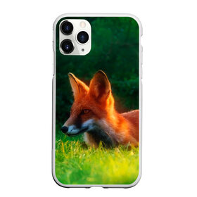 Чехол для iPhone 11 Pro Max матовый с принтом Рыжая лиса в Курске, Силикон |  | Тематика изображения на принте: fox | foxy | животное | звери | лиса | лисенок | лисичка | милая | рыжая | фокс