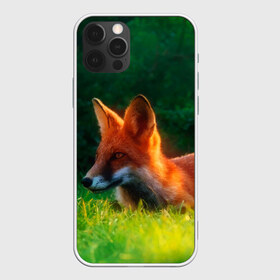 Чехол для iPhone 12 Pro Max с принтом Рыжая лиса в Курске, Силикон |  | fox | foxy | животное | звери | лиса | лисенок | лисичка | милая | рыжая | фокс