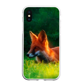Чехол для iPhone XS Max матовый с принтом Рыжая лиса в Курске, Силикон | Область печати: задняя сторона чехла, без боковых панелей | Тематика изображения на принте: fox | foxy | животное | звери | лиса | лисенок | лисичка | милая | рыжая | фокс