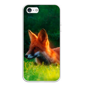 Чехол для iPhone 5/5S матовый с принтом Рыжая лиса в Курске, Силикон | Область печати: задняя сторона чехла, без боковых панелей | fox | foxy | животное | звери | лиса | лисенок | лисичка | милая | рыжая | фокс