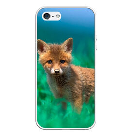 Чехол для iPhone 5/5S матовый с принтом маленький лисенок в Курске, Силикон | Область печати: задняя сторона чехла, без боковых панелей | Тематика изображения на принте: fox | foxy | животное | звери | лиса | лисенок | лисичка | милая | рыжая | фокс